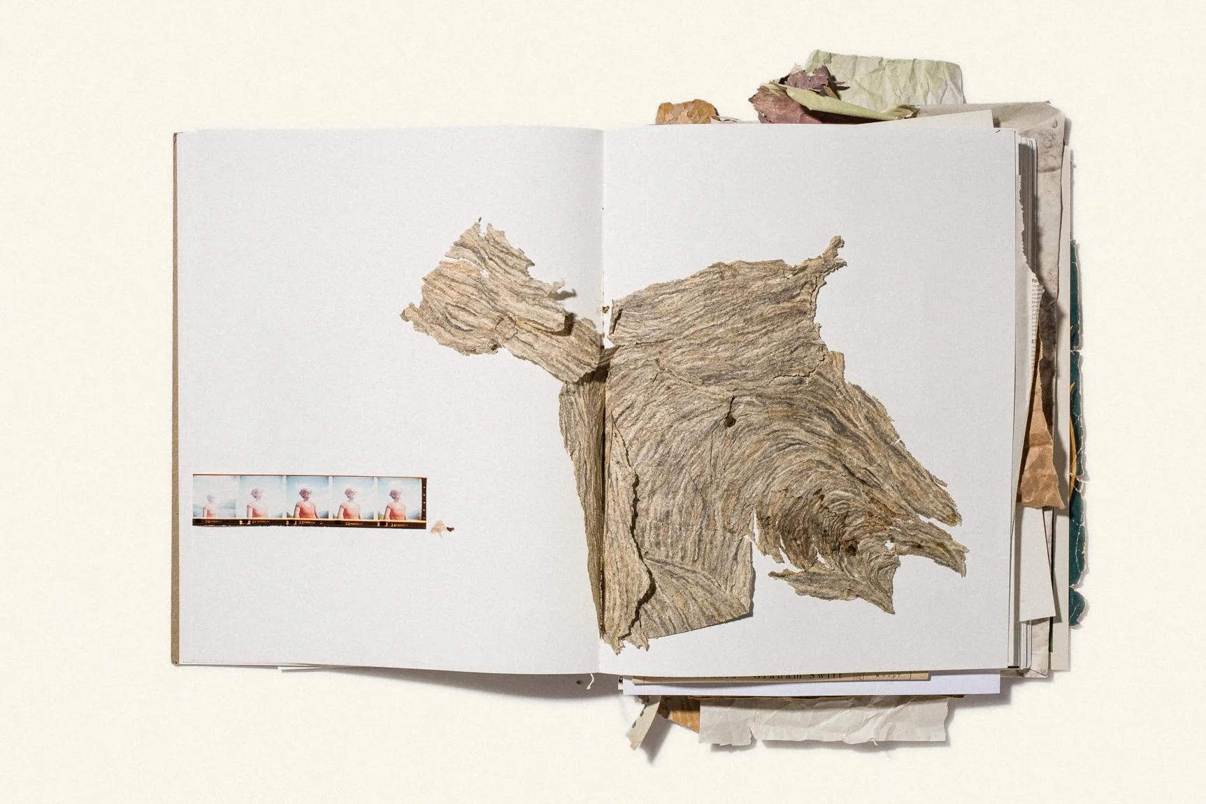 Sketchbook, MISC.