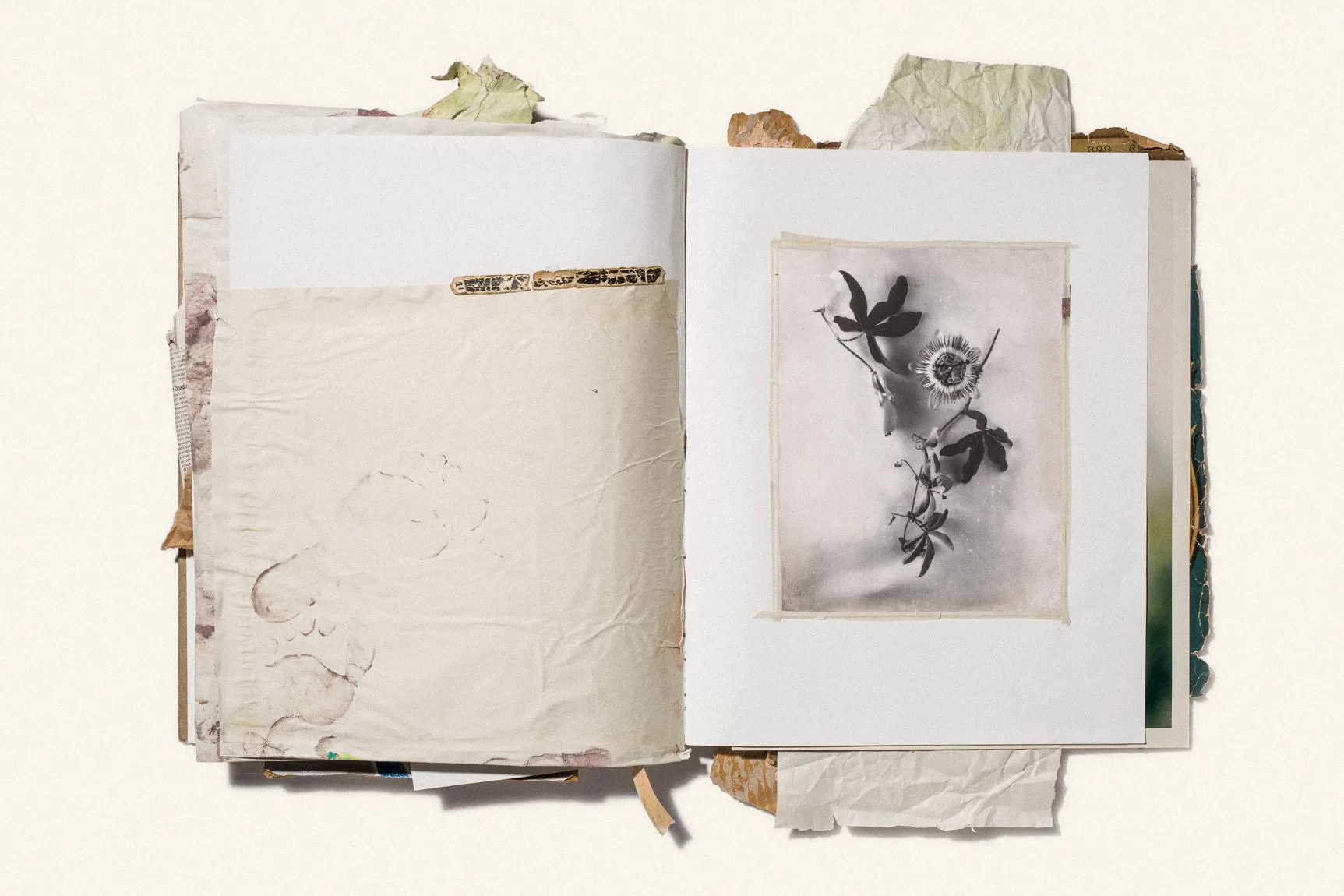 Sketchbook, MISC.