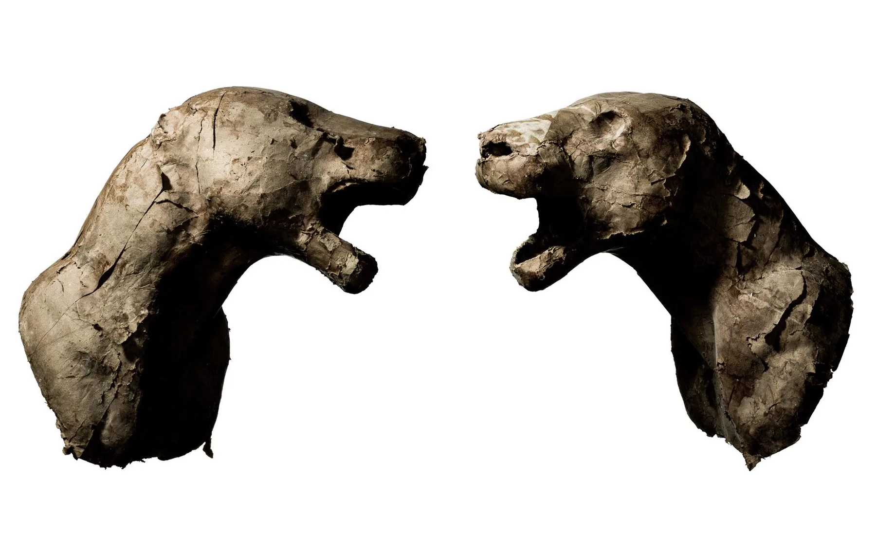 Taxidermy Mannequin