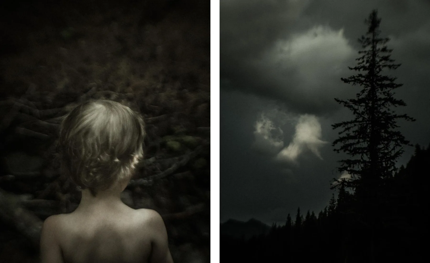 E in camp / Cloud and tree - Rainier